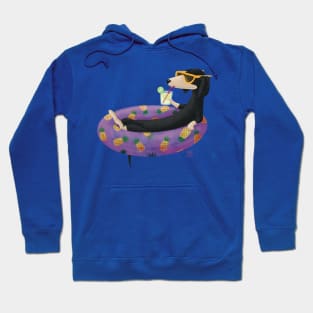 Chilling sausage dog Hoodie